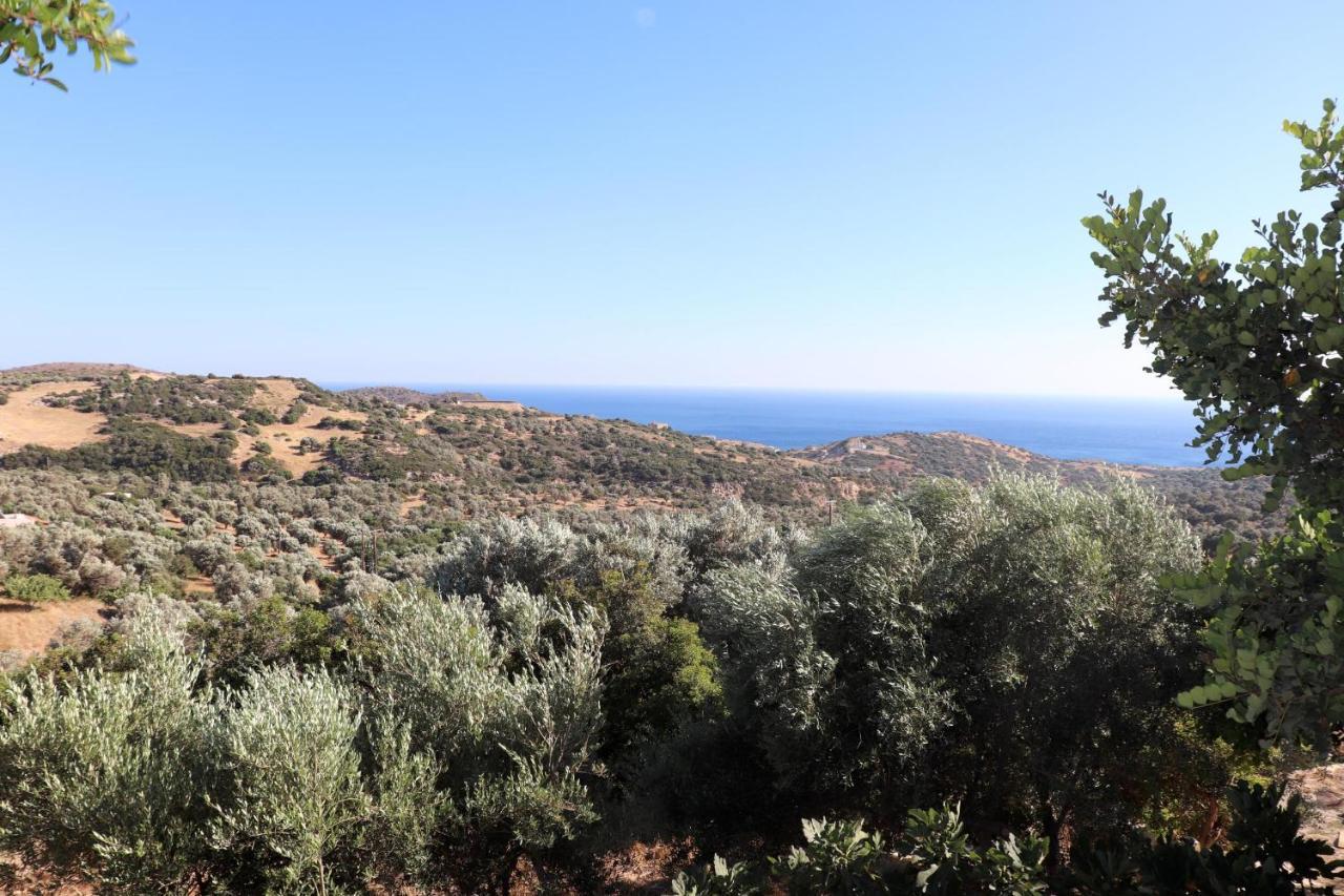 Amathianis Vila Triopetra Exterior foto